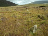 Click for full size image of Dyffryn Mymbyr (stone circle) (PID:143638) Dyffryn Mymbyr (stone circle)