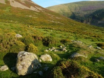 Foel Dduarth (West)