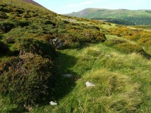 Foel Dduarth (East)
