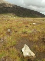 Click for full size image of Dyffryn Mymbyr (stone circle) (PID:143639) Dyffryn Mymbyr (stone circle)