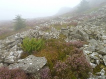 Carn Fadrun