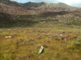 Click for full size image of Dyffryn Mymbyr (stone circle) (PID:143640) Dyffryn Mymbyr (stone circle)