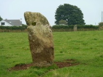Tir-gwyn