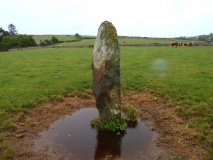 Pandy Standing Stone