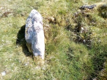 Tumulus, Llyn Irddyn