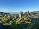 Bryn Seward Stone Row - PID:283510