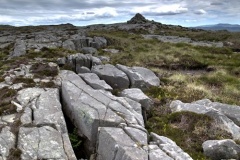 Northern Rhinogs