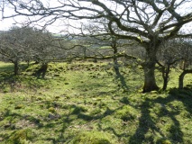 Pont Fadog W Hut Circle