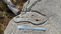 Llyn Du Carved stone - PID:163091