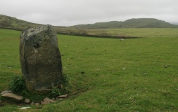 Moel Goedog 5