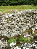 Bedd-y-brenin