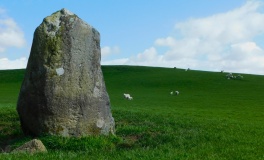 Gwyddfryniau