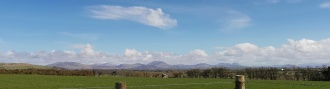 Four Crosses