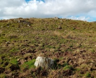 Llyn Barfog Stone
