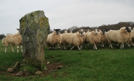 Bodfan Standing Stone