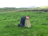 Moel Goedog 6 - PID:16921