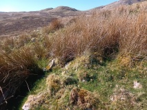 Llechwedd Erwent possible Ring Cairn