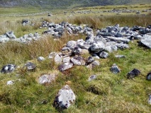 Llyn Irddyn W