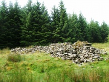 Bedd-y-brenin