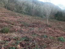 Ty'n yr Allt Hut Circles and Terraces
