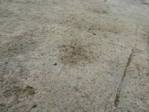 Cup Marked Stone, Gwerncaernyddion