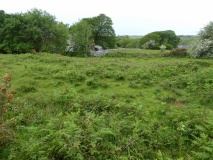Hut Circles and Field System, Dyffryn Ardudwy
