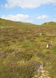 Cefn Maen Amor