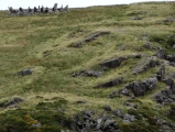 Bryn Cader Faner - PID:92566
