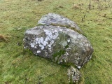 Bron-Llety-Ifan - PID:283502