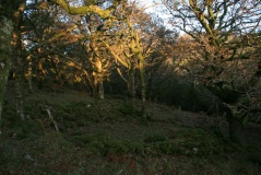 Garth Y Foel
