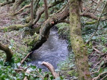 Ffynnon Saint (Minafon)