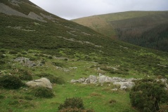 Foel Dduarth (West)