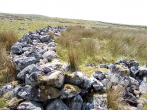 Llyn Irddyn W