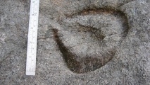 Llyn Du Carved stone - PID:169105