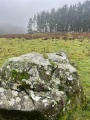 Bron-Llety-Ifan - PID:283503