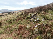 Hut Circle and Enclosures North of Plas Llyn