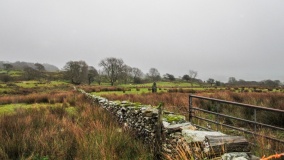 Fach Goch - PID:205992 Fach Goch - PID:205992
