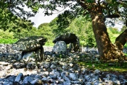 Dyffryn Ardudwy - PID:275170