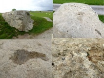 Cup Marked Stone, Gwerncaernyddion