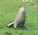 Gwyddfryniau - PID:261772