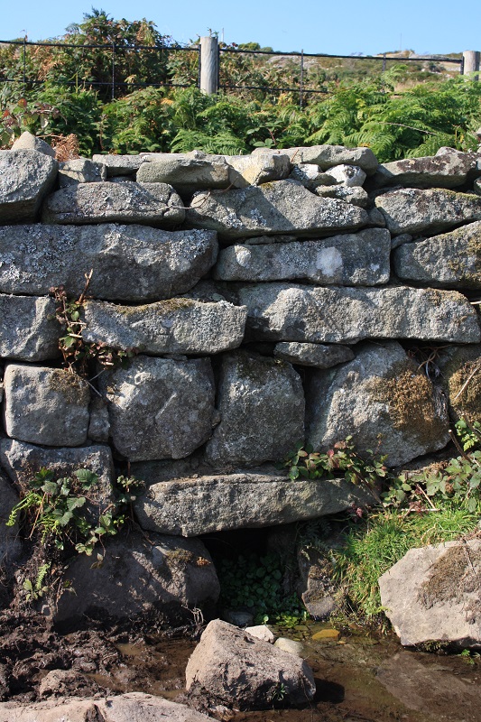 Ffynnon Aelrhiw