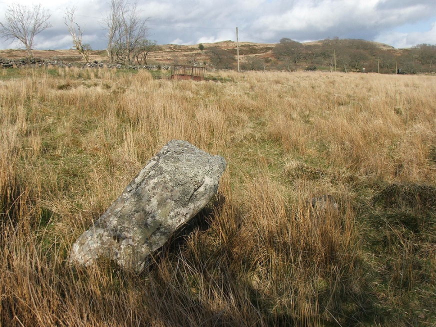 Maen Llwyd (Bronaber)
