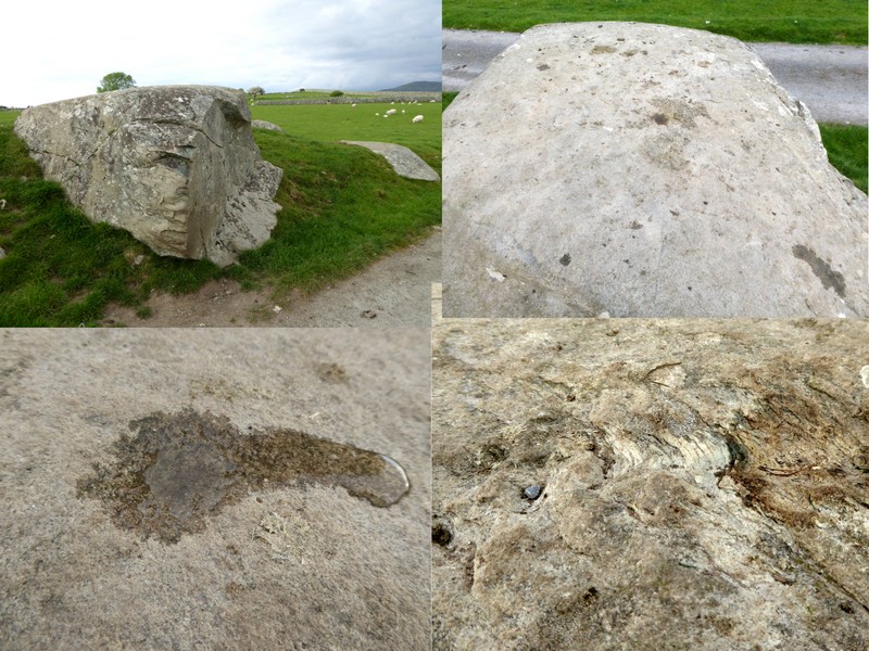 Cup Marked Stone, Gwerncaernyddion