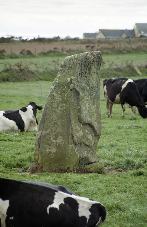 Click for the gallery page to add comments and vote (PID:38007) Trecenny Stone