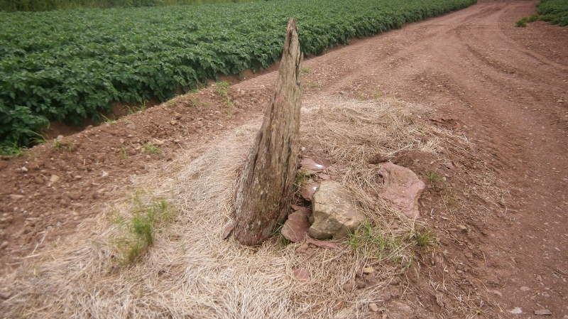 Long Stone (Hubberston)