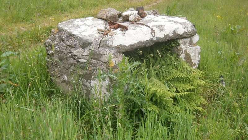 Trenewydd well