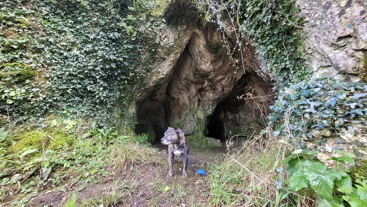 Hoyle's Mouth Cave