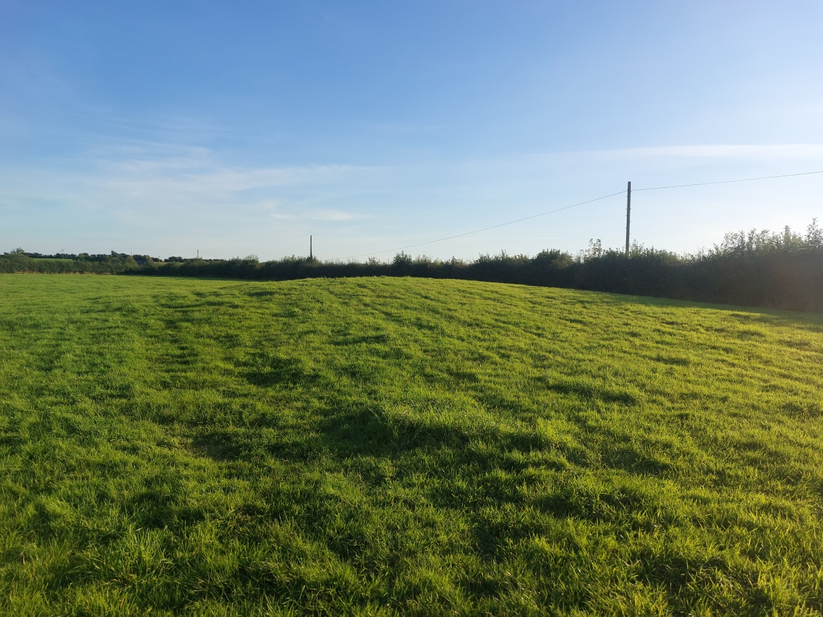 Rhiwiau Round Barrow