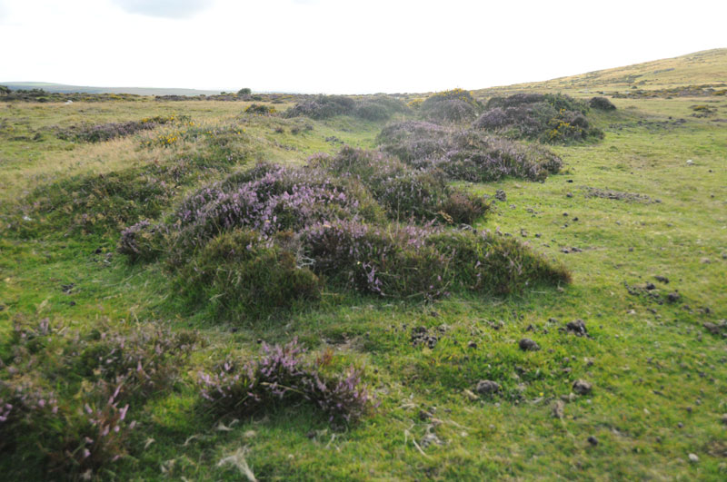 Click for the gallery page to add comments and vote (PID:122707) Glyn Gath Barrow
