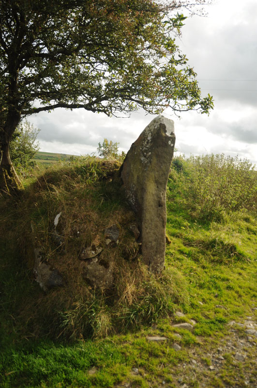Click for the gallery page to add comments and vote (PID:122783) Trellwyn-fach